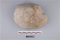 藏品(海綿化石)的圖片